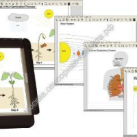 Тактильно-речевая обучающая система IVEO Lite - москва.сенсорная-комната.рф - Москва