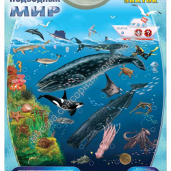 Озвученный плакат "Подводный мир"  - москва.сенсорная-комната.рф - Москва